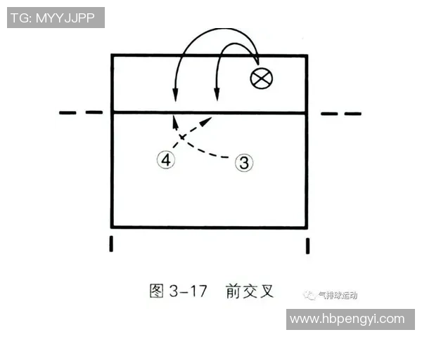 深圳排球队在总决赛中的耐力表现与战术分析全面解读